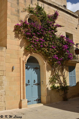 Mdina DSC_6674