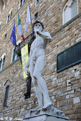 Replica of statue of David outside Palazzo Vecchio DSC_3782