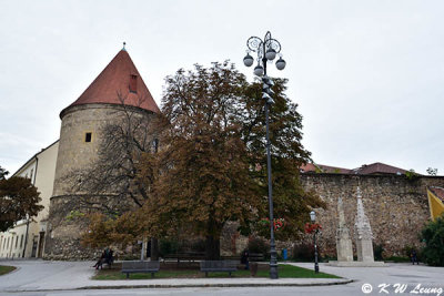 Old fortification wall near Zagreb Cathedral DSC_7176