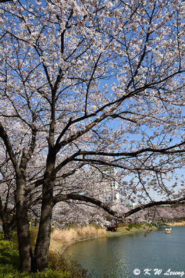 Seokchon Lake DSC_3101