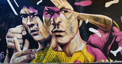 Bruce Lee by Xeva DSC01272