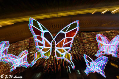 Butterflies of Hope @ Lee Tung Avenue DSC_2479