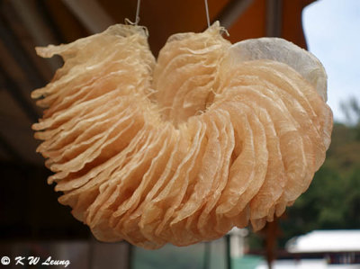 Dried fish maw DSC01455