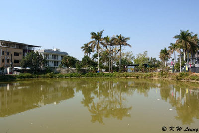 Pond @ Shui Tau Tsuen DSC01564