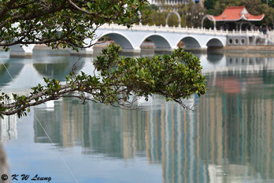 Shing Mun River DSC_4056