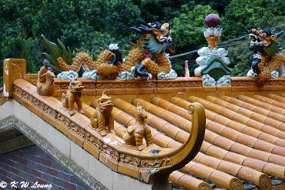 Temple roof decoration DSC02498