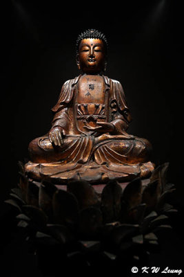 Seated Sakyamuni Buddha DSC_3360