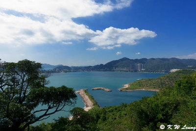 Tai Tam Bay DSC02831