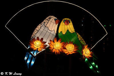 Illuminated Lantern Installation 'Moon Story' (圓月故事 - 綵燈光影展)