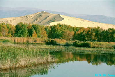 Baisha Lake 05