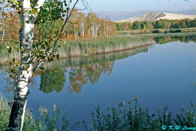 Baisha Lake 06
