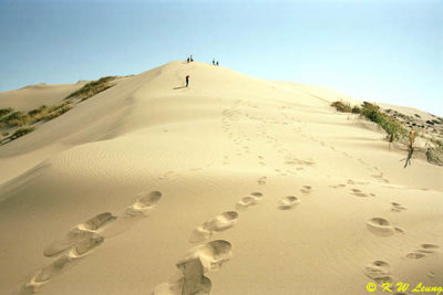 Singing Sand Dunes 03