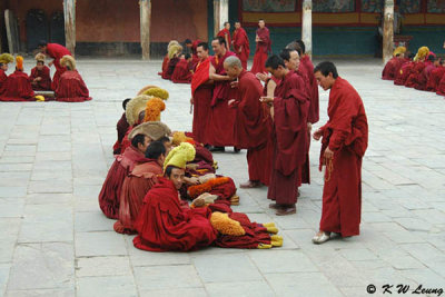 Debate among monks in Ta'er Monastery 02