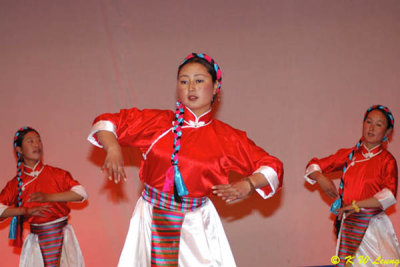 Tibetan dance 03