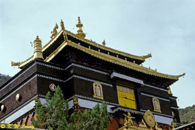 Tashilhunpo Monastery 05