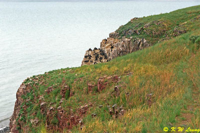 Qinghai Lake 02