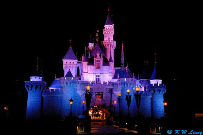 Sleeping Beauty Castle @ night 01