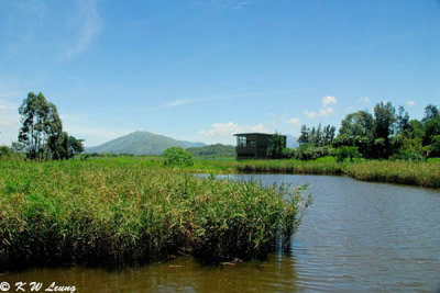 Wetland Park DSC_2447