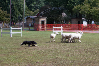 DSC_4621.jpg