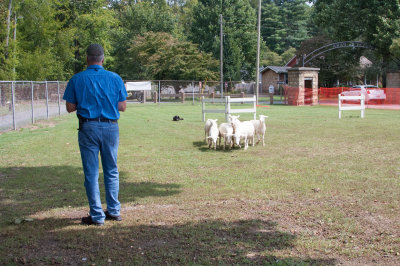 DSC_4626.jpg