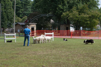 DSC_4634.jpg