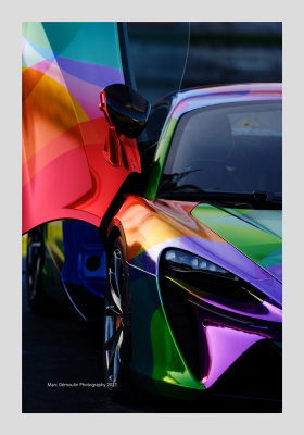 Art et Elegance - Chantilly 2022 - 15