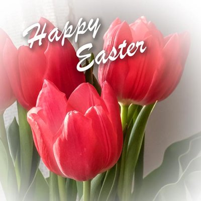 Happy Easter P1090261
