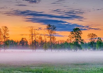 Ground Fog At Sunrise P1410348-54