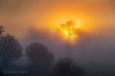 Foggy Sunrise P1410804