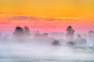 Sunrise Ground Fog P1420223-5