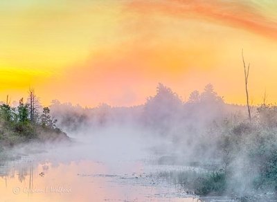 Misty Irish Creek At Sunrise P1420428-32