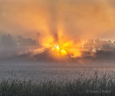 Foggy Sunrise P1420489-95