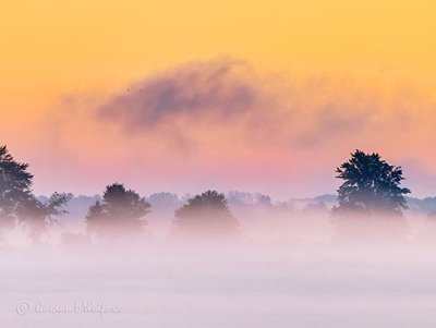 Ground Fog At Sunrise P1430341-3
