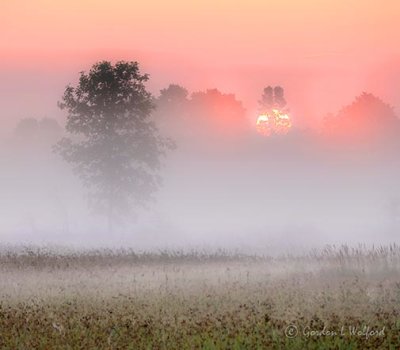 Sunrise Through Ground Fog P1430635-41