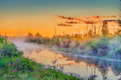 Misty Irish Creek Sunrise P1440691-7