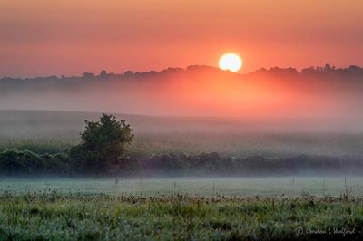 Sunrise Through Ground Fog P1450779