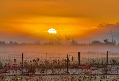 Sunrise & Contrail Through Ground Fog P1460298-4