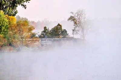 Edmonds Lock In Fog & Mist P1460461