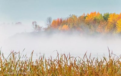 Misty Irish Creek Autumnscape DSCN02977