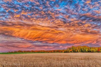Interesting Autumnscape Sky At Sunrise P1470127-3