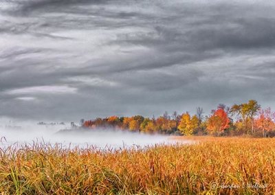 Misty Irish Creek Autumnscape DSCN02972-4