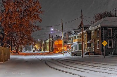 Snowy Winnifred St N (P1480579)