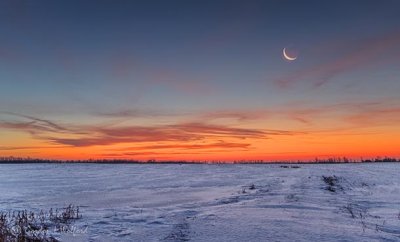 Waning Crescent Moon At Sunrise P1500131-7