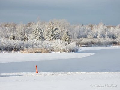 Frosty Landscape Along The Canal DSCN08039