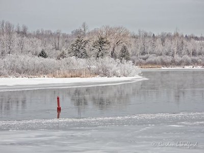 Frosty Landscape Along The Canal DSCN08630