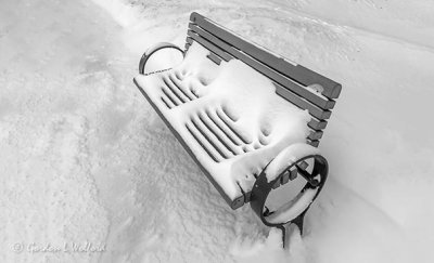 Snowy Bench 0481