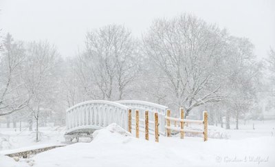 New Footbridge In Snowstorm P1510758-64