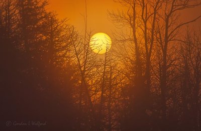 Rising Sun Through Fog P1520298-04