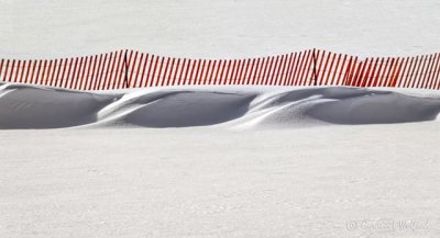 Snow Fence & Drifts P1020314