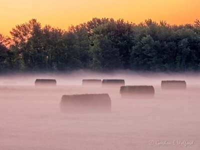 Bales In Sunrise Ground Fog DSCN21239